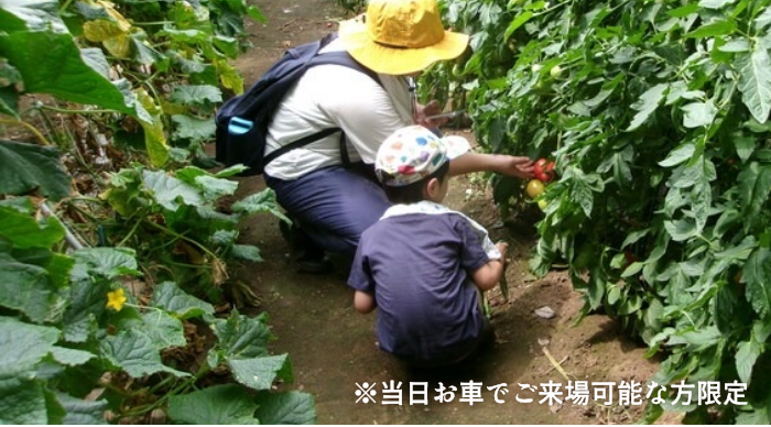 ※当日お車でご来場可能な方限定